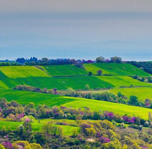 3 Hills Boutique - The Ranch Experience Hotel Trilofos Luaran gambar
