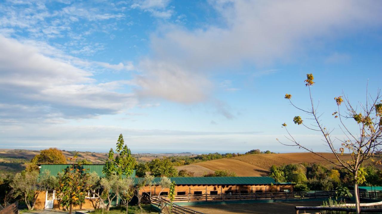 3 Hills Boutique - The Ranch Experience Hotel Trilofos Luaran gambar